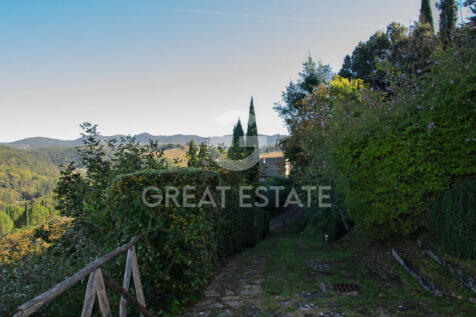 Panorama e Particolari