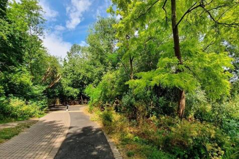 Russia Dock Woodland