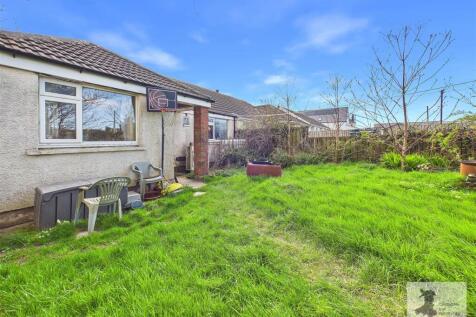 back garden