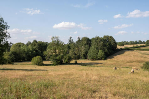 a0OP6000003OXApMAO_N70_webres.jpg