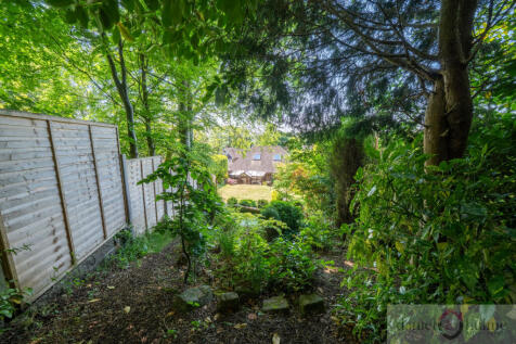 31 Campbell Avenue-63