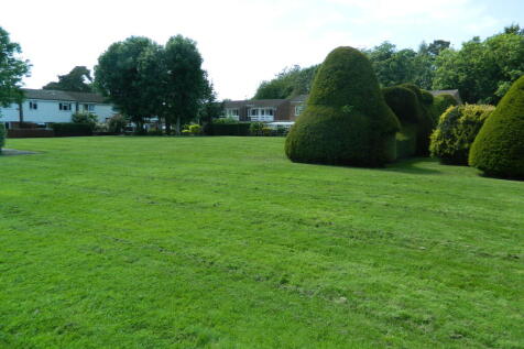 communal gardens