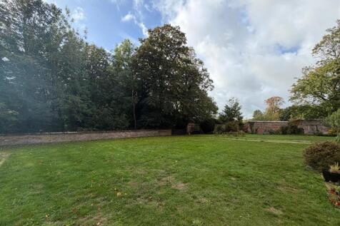 garden 3.jpeg