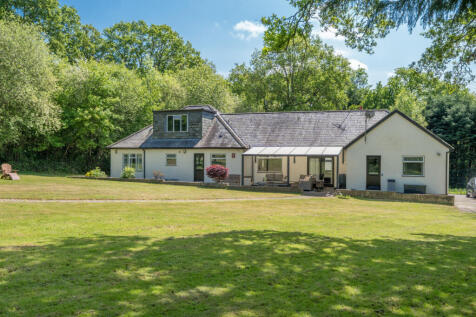 19-681c974515d6b-...