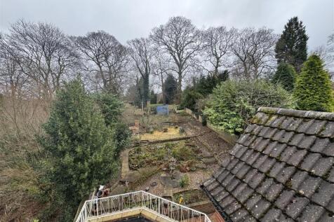 IMG_5171 (Large).JPG