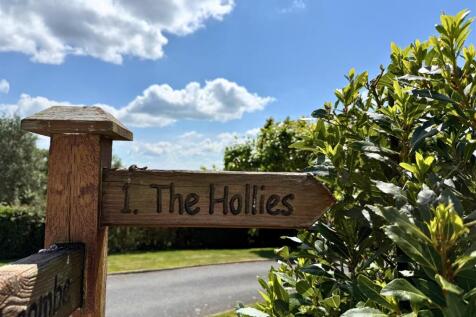 IMG_1618 - Edited.jpg