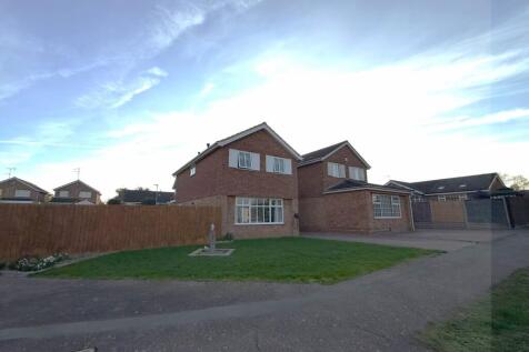 Plot View