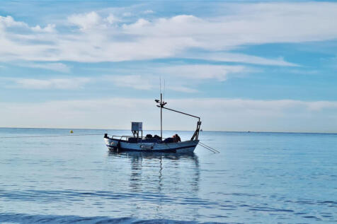 Image 36