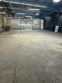 20250709_ _iOS Large.jpg