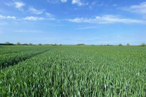 Land for sale Image 6