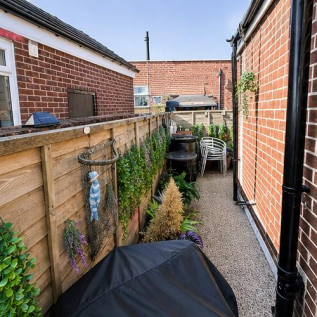 garden_picture_1.png