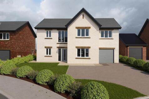 Front Plot 10