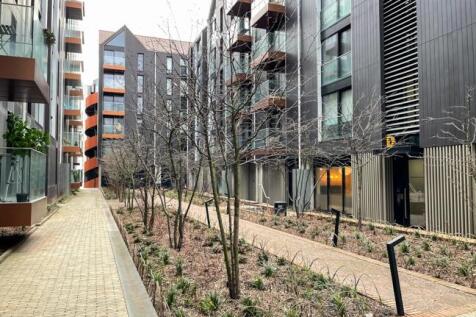 Brighton-2022 (21...