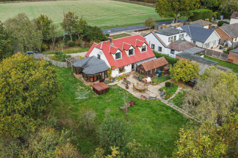 PT-FC(COL)-TheBir...