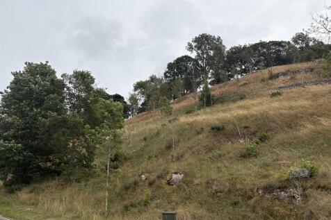IMG_9469.JPEG