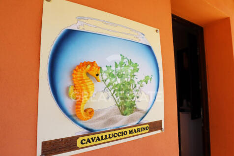 Panorama e Particolari