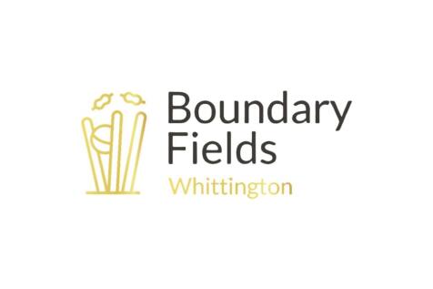 Boundary Fields.jpg