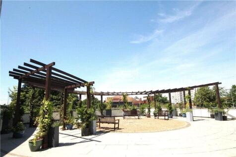 Roof Terrace