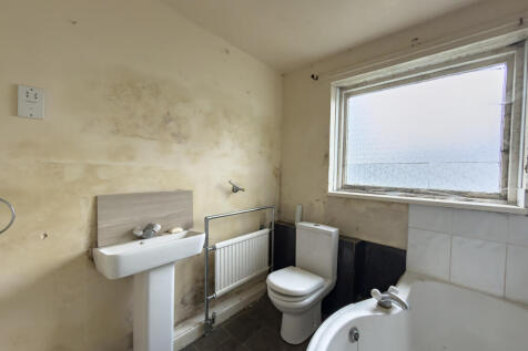 IMG 7439 T202511081225.jpg