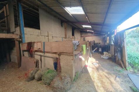 20230915_090805_resized_1 (1).jpg