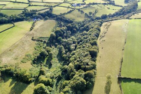 dji_fly_20250908_173202_692_1758704836160_photo_op