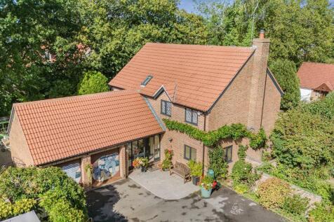 Property Image 44
