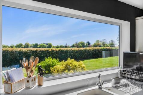 View From Kitchen