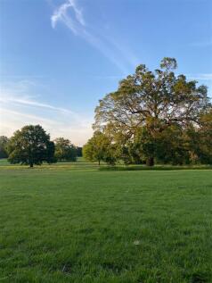 Court park