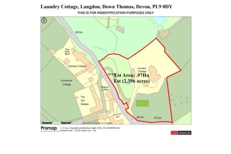 A25 Pinned  (5)