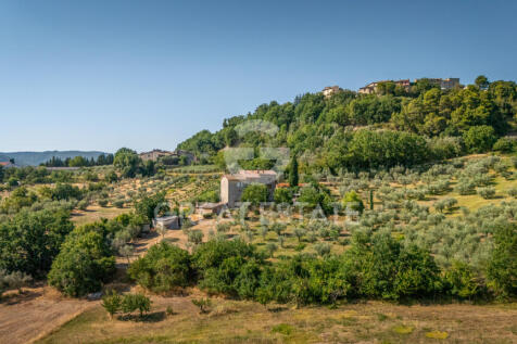 Panorama e Particolari