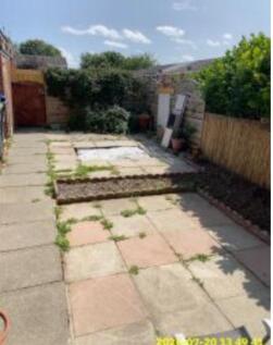 Back garden