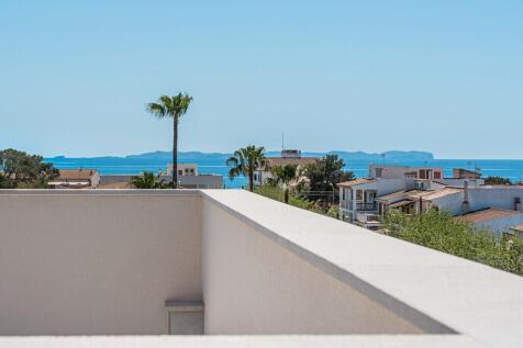 Roof Views