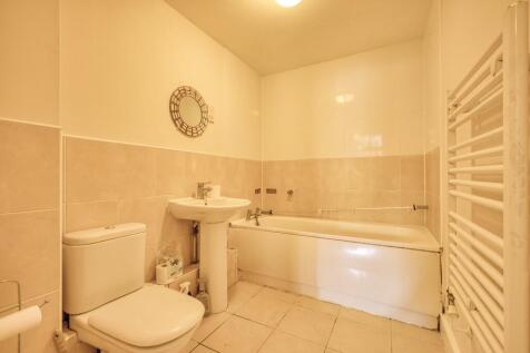Picture 11