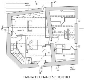 Pianta sottotetto