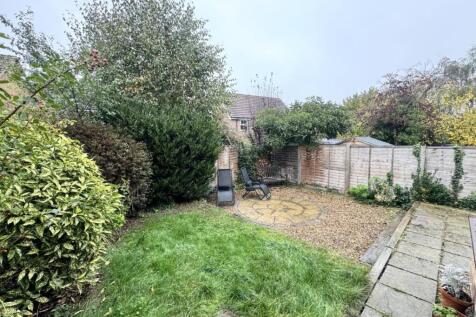 garden.jpeg