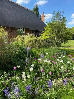 Spring Gardens