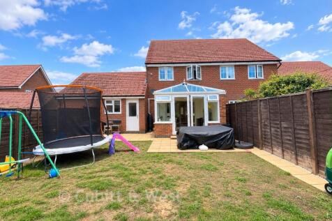 New Rear Garden
