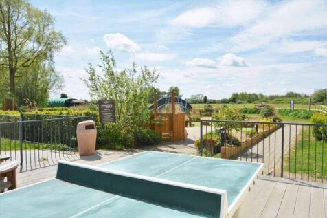 Table tennis and mini golf