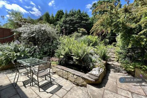 Garden Pation In Siummer
