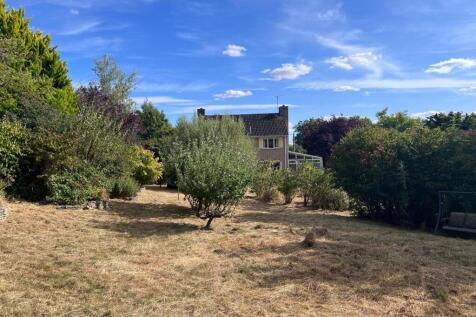 Garden 2