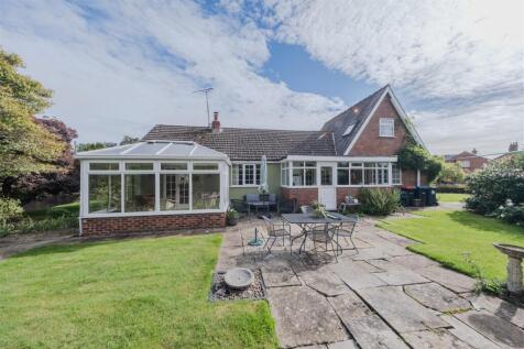 Chesters Corner-039.jpg