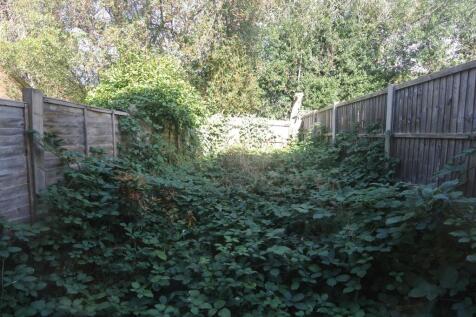 Garden.jpg