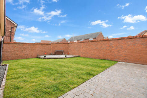 Back garden
