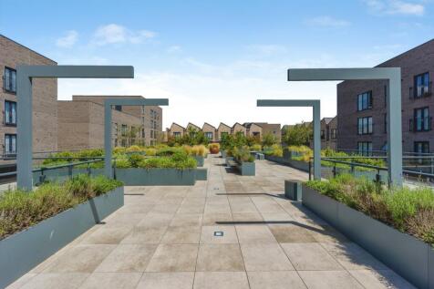 Communal Roof Garden