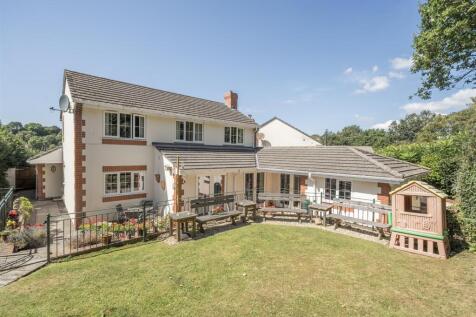Rear Elevation &amp; Garden