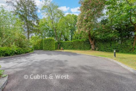 Driveway/Parking