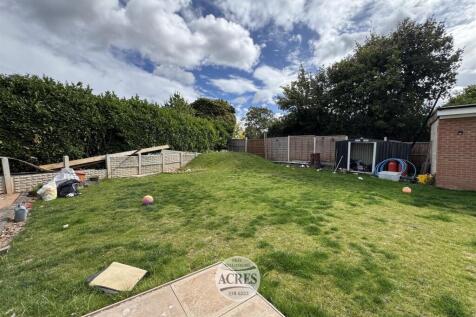 IMG_1587 (Large).jpg