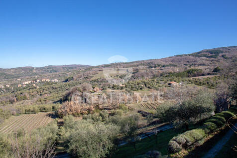 Panorama e Particolari