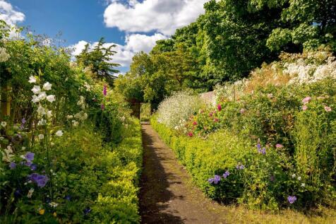 Kitchen Garden