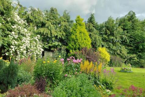 Back garden 1.jpg